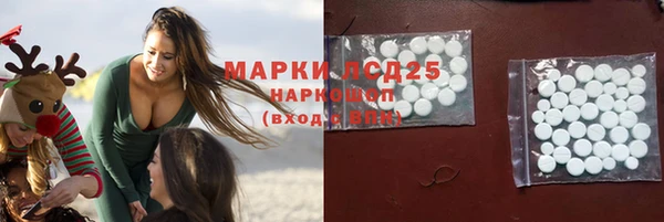 соль ск Горнозаводск