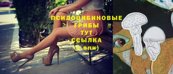 соль ск Горнозаводск