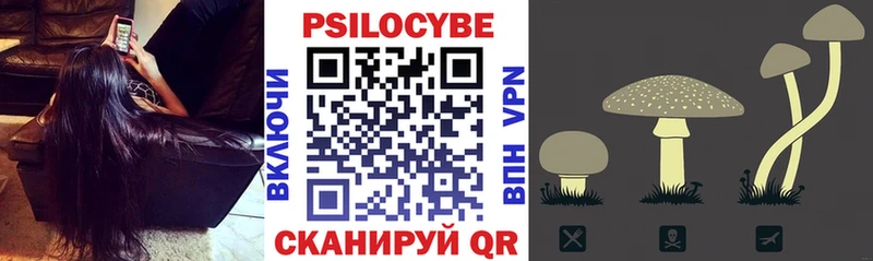 Купить закладки  Чайковский  Галлюциногенные грибы Cubensis 