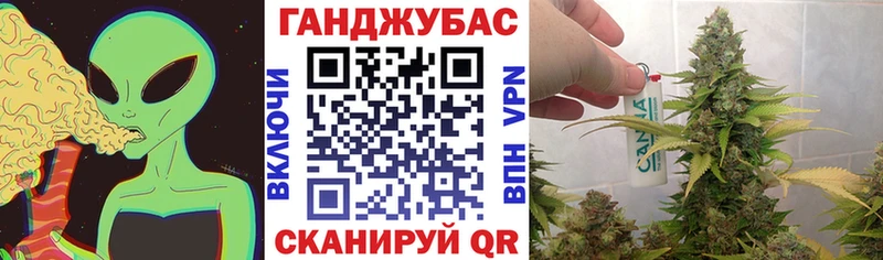 Купить  Чайковский  Конопля LSD WEED 